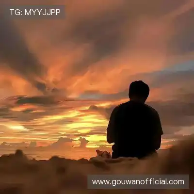 卫菡杉